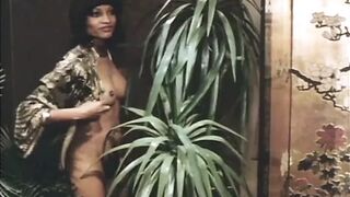 Pornographie thailandaise (1977)