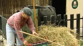 Onkel Otto der geile Bock