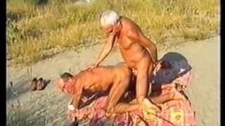 Silverfoxes playing in public Part II - by neurosiss