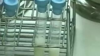 Sexy Japanese Sack Of Babymakers Mouthy Doctor