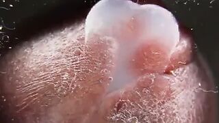 macro close up cumming on glass