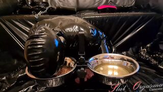 Slave Slut-Orgasma Celeste eating dog food and drinking piss