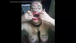 Pig used and abused