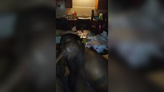 CHARMANE Sucks my dick nice and slow and catches BIG LOAD