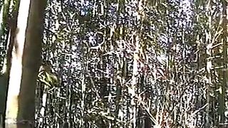 Masturbate by Bamboo