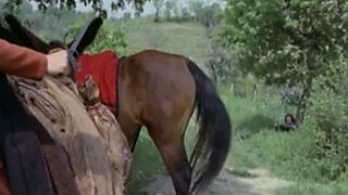 Decameroticus (1972)