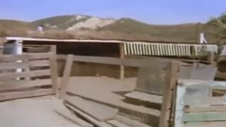 COUNTRY CUZZINS 1970 (HD)
