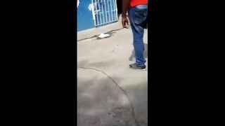 bottle in pussy