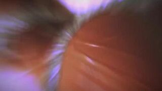 PMV Oil