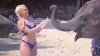 J'aime les animaux aussi