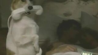 Denise Naples Breasts Scene in The Clean-Up Squad