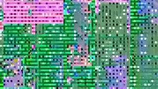 Danish Vintage Three Film Loop English Dub