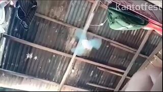 Father Secretly Climbed Mare While Husband Was At Work