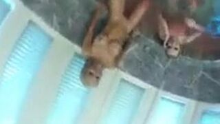 BTS Fun in the pool
