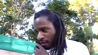 Chocolate Stallion