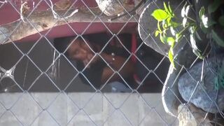 la vecina miando