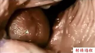 Ejaculation process