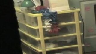 Spy Spy Cams Scene You'Ve Seen