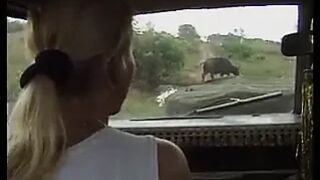 DBM - Safari Park